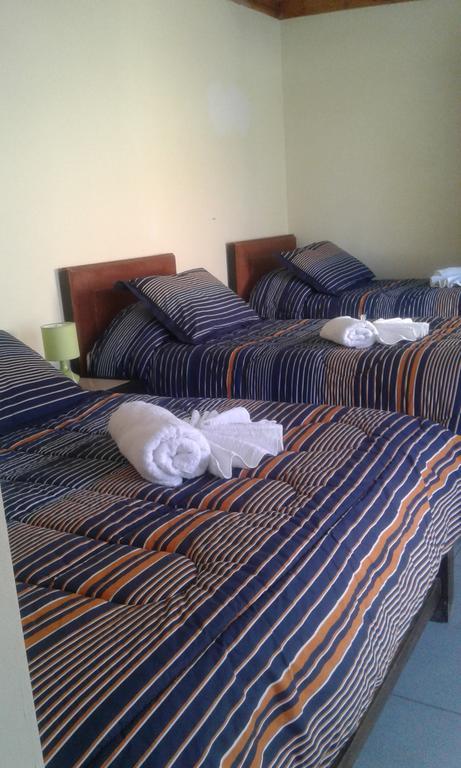 سان بيدرو دي أتاكاما Hostal Camino Del Inca المظهر الخارجي الصورة